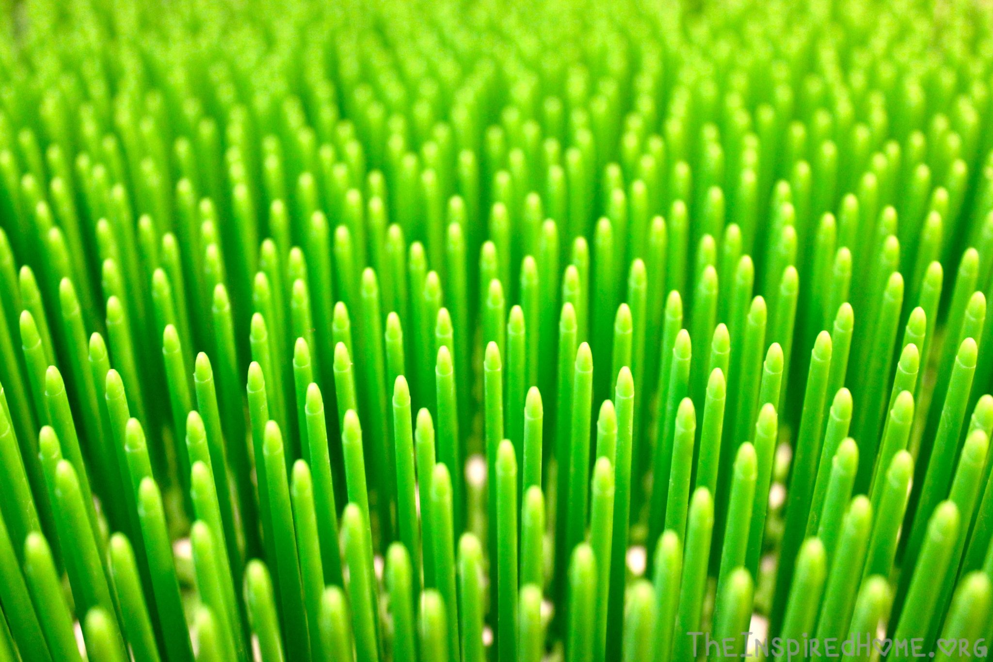 Review Of The Week Boon Grass And Boon Lawn The Inspired Home
