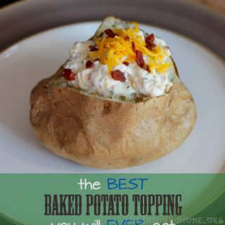 TheInspiredHome.org // the BEST baked potato topping you will EVER eat. Seriously. It also makes a fantastic baked dip! Sour cream, cream cheese, bacon bits, it's all here and it's all DELICIOUS.
